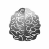 Mechanisms of the Mind & Brain